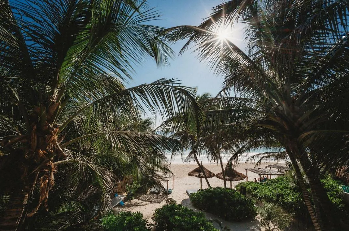 Villa Beautiful House On Beach Zone Tulum Mexico