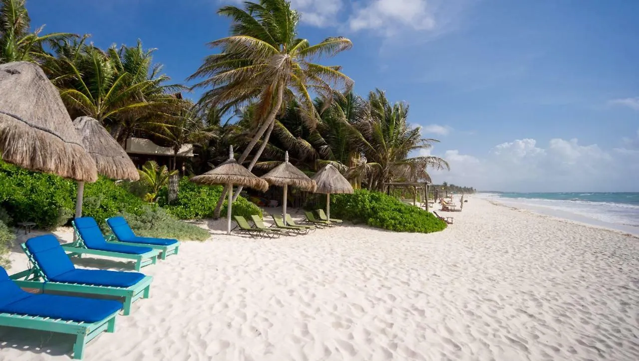 Beautiful House On Beach Zone Tulum contacts